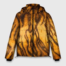 Мужская зимняя куртка 3D с принтом Шкура тигра 2022 в Курске, верх — 100% полиэстер; подкладка — 100% полиэстер; утеплитель — 100% полиэстер | длина ниже бедра, свободный силуэт Оверсайз. Есть воротник-стойка, отстегивающийся капюшон и ветрозащитная планка. 

Боковые карманы с листочкой на кнопках и внутренний карман на молнии. | Тематика изображения на принте: 2022 | год тигра | новый год | новый год 2022 | символ года | тигр | тигренок | тигрица | тигры