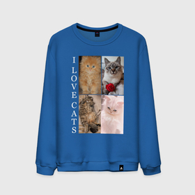 Мужской свитшот хлопок с принтом I LOVE CATS Я ЛЮБЛЮ КОШЕК в Новосибирске, 100% хлопок |  | animal | cat | love | meow | домашние | животные | звери | киса | коты | котэ | кошки | любовь | мяу | пушистый