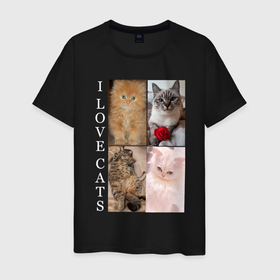 Мужская футболка хлопок с принтом I LOVE CATS Я ЛЮБЛЮ КОШЕК в Тюмени, 100% хлопок | прямой крой, круглый вырез горловины, длина до линии бедер, слегка спущенное плечо. | animal | cat | love | meow | домашние | животные | звери | киса | коты | котэ | кошки | любовь | мяу | пушистый