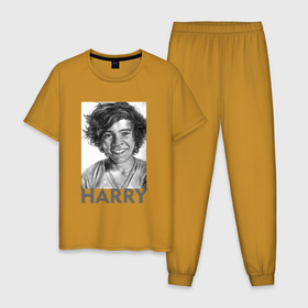 Мужская пижама хлопок с принтом Harry  Styles , 100% хлопок | брюки и футболка прямого кроя, без карманов, на брюках мягкая резинка на поясе и по низу штанин
 | Тематика изображения на принте: harry edward styles | британец | бритпопо | гарри стайлс | дирекшин | дирекшины