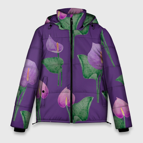 Мужская зимняя куртка 3D с принтом Разноцветные антуриумы на фиолетовом фоне в Тюмени, верх — 100% полиэстер; подкладка — 100% полиэстер; утеплитель — 100% полиэстер | длина ниже бедра, свободный силуэт Оверсайз. Есть воротник-стойка, отстегивающийся капюшон и ветрозащитная планка. 

Боковые карманы с листочкой на кнопках и внутренний карман на молнии. | Тематика изображения на принте: 8 марта | anthuriums | flowers | leaves | nature | антуриумы | ботаническая иллюстрация | день рождения | зеленый | листья | природа | растения | фиолетовый | цветы