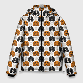 Мужская зимняя куртка 3D с принтом Собаки Спаниель в Белгороде, верх — 100% полиэстер; подкладка — 100% полиэстер; утеплитель — 100% полиэстер | длина ниже бедра, свободный силуэт Оверсайз. Есть воротник-стойка, отстегивающийся капюшон и ветрозащитная планка. 

Боковые карманы с листочкой на кнопках и внутренний карман на молнии. | Тематика изображения на принте: cocker spaniel | dog spaniel | k | английский спаниель | год собаки | друг человека | животное | зверь | кавалер спаниель | кинг чарльз спаниель | кинолог | кокер спаниель | охотничья собака | пёс