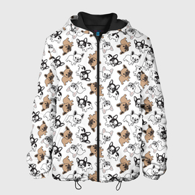 Мужская куртка 3D с принтом Бульдожики в Новосибирске, ткань верха — 100% полиэстер, подклад — флис | прямой крой, подол и капюшон оформлены резинкой с фиксаторами, два кармана без застежек по бокам, один большой потайной карман на груди. Карман на груди застегивается на липучку | animal | bulldog | dog | french bulldog | french bulldog p | pit bull | бойцовская собака | бульдог | год собаки | друг человека | животное | зверь | кинолог | пёс | питбуль | собака французский бульдог | собаковод