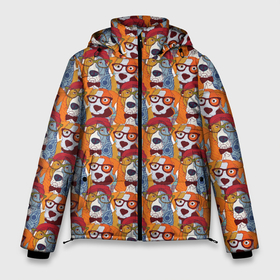 Мужская зимняя куртка 3D с принтом Собаки в Очках в Санкт-Петербурге, верх — 100% полиэстер; подкладка — 100% полиэстер; утеплитель — 100% полиэстер | длина ниже бедра, свободный силуэт Оверсайз. Есть воротник-стойка, отстегивающийся капюшон и ветрозащитная планка. 

Боковые карманы с листочкой на кнопках и внутренний карман на молнии. | animal | dog | барбос | бобик | год собаки | друг человека | животное | зверь | ищейка | кинолог | кость | лайка | пёс | собака | собаковод | собачьи следы от лап | хищник | четвероногий | шарик | щенок