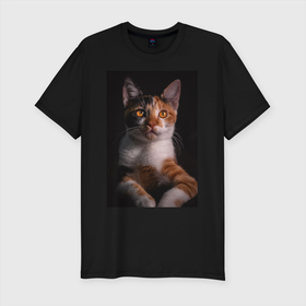 Мужская футболка хлопок Slim с принтом умный взгляд кота , 92% хлопок, 8% лайкра | приталенный силуэт, круглый вырез ворота, длина до линии бедра, короткий рукав | животные | звери | кот | коты | умный взгляд кота