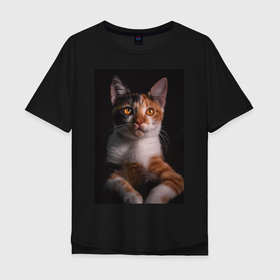 Мужская футболка хлопок Oversize с принтом умный взгляд кота в Белгороде, 100% хлопок | свободный крой, круглый ворот, “спинка” длиннее передней части | Тематика изображения на принте: животные | звери | кот | коты | умный взгляд кота