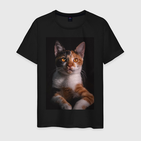 Мужская футболка хлопок с принтом умный взгляд кота в Белгороде, 100% хлопок | прямой крой, круглый вырез горловины, длина до линии бедер, слегка спущенное плечо. | Тематика изображения на принте: животные | звери | кот | коты | умный взгляд кота