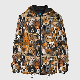 Мужская куртка 3D с принтом Собаки (Разные Породы) в Екатеринбурге, ткань верха — 100% полиэстер, подклад — флис | прямой крой, подол и капюшон оформлены резинкой с фиксаторами, два кармана без застежек по бокам, один большой потайной карман на груди. Карман на груди застегивается на липучку | animal | dog | барбос | бобик | год собаки | друг человека | животное | зверь | ищейка | кинолог | кость | лайка | пёс | порода собак | собака | собаковод | собачьи следы от лап | сторожевая собака | хищник