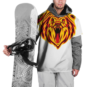 Накидка на куртку 3D с принтом Бардак  медведь крупный в Тюмени, 100% полиэстер |  | бардак | москва | музыка | рок | рок музыка | россия | русский рок