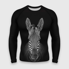 Мужской рашгард 3D с принтом Зебра zebra ,  |  | дикие животные | зебра | лошадка | лошадь