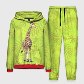 Мужской костюм 3D (с толстовкой) с принтом Длиношеее животное ,  |  | джунгди | дикие | дикие животные | животные | жираф