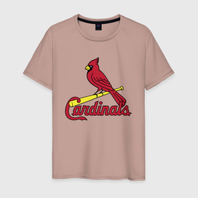 Мужская футболка хлопок с принтом St. Louis Cardinals в Курске, 100% хлопок | прямой крой, круглый вырез горловины, длина до линии бедер, слегка спущенное плечо. | baseball | bat | bird | sport | st louis | team | usa | бейсбол | бита | птица | сентлуис | спорт | сша