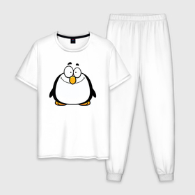 Мужская пижама хлопок с принтом Глазастый пингвин в Курске, 100% хлопок | брюки и футболка прямого кроя, без карманов, на брюках мягкая резинка на поясе и по низу штанин
 | арктика | девушкам | детский | детям | для детей | зима | крылья | лёд | мороз | пингвин | природа | птица | холод
