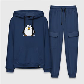 Мужской костюм хлопок с толстовкой с принтом Глазастый пингвин ,  |  | арктика | девушкам | детский | детям | для детей | зима | крылья | лёд | мороз | пингвин | природа | птица | холод