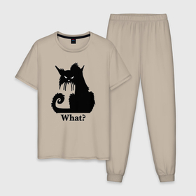 Мужская пижама хлопок с принтом What   Что в Петрозаводске, 100% хлопок | брюки и футболка прямого кроя, без карманов, на брюках мягкая резинка на поясе и по низу штанин
 | Тематика изображения на принте: black cat | cat | fearsome | halloween | question | silhouette | stern look | what | вопрос | кошка | силуэт | суровый взгляд | хеллоуин | черный кот | что