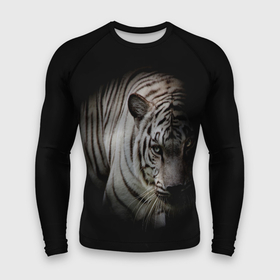 Мужской рашгард 3D с принтом Загадочный тигр ,  |  | голова тигра | символ года | темнота | тигр | хищник