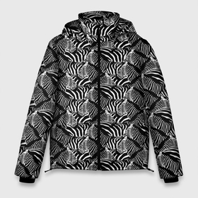 Мужская зимняя куртка 3D с принтом Зебры (Zebras) , верх — 100% полиэстер; подкладка — 100% полиэстер; утеплитель — 100% полиэстер | длина ниже бедра, свободный силуэт Оверсайз. Есть воротник-стойка, отстегивающийся капюшон и ветрозащитная планка. 

Боковые карманы с листочкой на кнопках и внутренний карман на молнии. | Тематика изображения на принте: animals | horse | safari | wild horse | zebra | zoo | дикая лошадь | дикая природа | жеребец | животные | звери | зебра | зебра тв | зоопарк | кляча | кобыла | конь | лошадь | полосатая | полоски зебры | пони | сафари | скакун