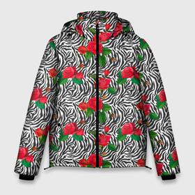 Мужская зимняя куртка 3D с принтом Полосы Зебры и Красные Розы в Екатеринбурге, верх — 100% полиэстер; подкладка — 100% полиэстер; утеплитель — 100% полиэстер | длина ниже бедра, свободный силуэт Оверсайз. Есть воротник-стойка, отстегивающийся капюшон и ветрозащитная планка. 

Боковые карманы с листочкой на кнопках и внутренний карман на молнии. | Тематика изображения на принте: animals | horse | safari | wild horse | zebra | zoo | дикая лошадь | дикая природа | жеребец | животные | звери | зебра | зебра тв | зоопарк | кляча | кобыла | конь | лошадь | полосатая | полоски зебры | пони | розы | сафари