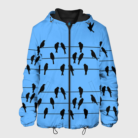 Мужская куртка 3D с принтом Птицы сидят на проводах в Новосибирске, ткань верха — 100% полиэстер, подклад — флис | прямой крой, подол и капюшон оформлены резинкой с фиксаторами, два кармана без застежек по бокам, один большой потайной карман на груди. Карман на груди застегивается на липучку | birds | blue sky | electric | sit | spring | wires | весна | голубое небо | провода | птицы | сидят | электрические