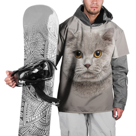 Накидка на куртку 3D с принтом Милая британка , 100% полиэстер |  | британка | голова кошки | животное | кот | кошка | мех | нежность
