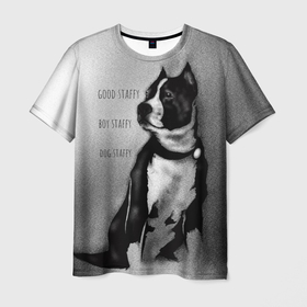 Мужская футболка 3D с принтом STAFFY boy в Санкт-Петербурге, 100% полиэфир | прямой крой, круглый вырез горловины, длина до линии бедер | staffy | арт | мерч | рисунок | собака
