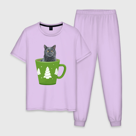 Мужская пижама хлопок с принтом Кот в зеленой кружке в Белгороде, 100% хлопок | брюки и футболка прямого кроя, без карманов, на брюках мягкая резинка на поясе и по низу штанин
 | Тематика изображения на принте: зима | кот | котенок | котик | котики | кошка | новогодняя | новый год | рождество | тепло
