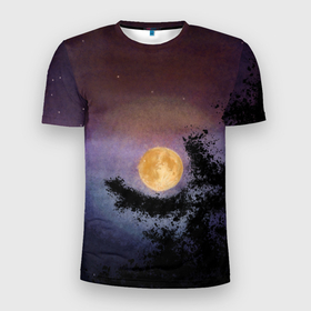 Мужская футболка 3D Slim с принтом night sky with full moon by Apkx в Кировске, 100% полиэстер с улучшенными характеристиками | приталенный силуэт, круглая горловина, широкие плечи, сужается к линии бедра | apkx | fullmoon | moon | night | sky | картина | луна | небо | ночь | полнолуние