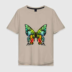 Мужская футболка хлопок Oversize с принтом Яркая бабочка в Новосибирске, 100% хлопок | свободный крой, круглый ворот, “спинка” длиннее передней части | 2022 | бабочка | лето | насекомое | новое | радуга | тренды | цветная