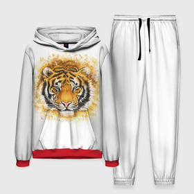Мужской костюм 3D (с толстовкой) с принтом Дикий Тигр (Wild Tiger) ,  |  | Тематика изображения на принте: animal | beast | cat | predator | tiger | амурский тигр | белый тигр | год тигра | дикий тигр | животное | зверь | злой тигр | кот | новый год 2022 | оскал | охотник | полосатая кошка | полоски тигра | саблезубый тигр