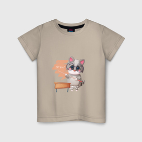 Детская футболка хлопок с принтом Енот математик в Кировске, 100% хлопок | круглый вырез горловины, полуприлегающий силуэт, длина до линии бедер | арт | графика | енот | животные | звери | математика | уравнение