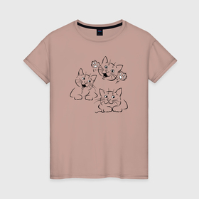 Женская футболка хлопок с принтом Веселые котэ в Курске, 100% хлопок | прямой крой, круглый вырез горловины, длина до линии бедер, слегка спущенное плечо | котики | котэ | кошачьи физиономиии | настроения