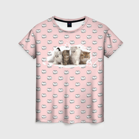 Женская футболка 3D с принтом Британская длинношёрстная в Кировске, 100% полиэфир ( синтетическое хлопкоподобное полотно) | прямой крой, круглый вырез горловины, длина до линии бедер | британская | котики | кошка | настроения