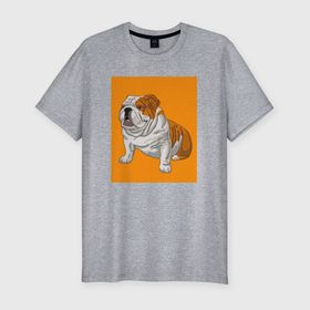 Мужская футболка хлопок Slim с принтом Английский бульдог собака в Белгороде, 92% хлопок, 8% лайкра | приталенный силуэт, круглый вырез ворота, длина до линии бедра, короткий рукав | dog | english bulldog | pets | английский бульдог | бульдог | в прямоугольнике | домашние животные | домашние питомцы | породистая собака | рыжий | сидящая собака | собаки