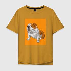 Мужская футболка хлопок Oversize с принтом Английский бульдог собака в Санкт-Петербурге, 100% хлопок | свободный крой, круглый ворот, “спинка” длиннее передней части | dog | english bulldog | pets | английский бульдог | бульдог | в прямоугольнике | домашние животные | домашние питомцы | породистая собака | рыжий | сидящая собака | собаки