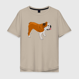 Мужская футболка хлопок Oversize с принтом Английский бульдог рисунок собаки в Санкт-Петербурге, 100% хлопок | свободный крой, круглый ворот, “спинка” длиннее передней части | dog | english bulldog | pet | английский бульдог | бульдог | домашние животные | питомец | порода | рыжий | собака | стоящая собака