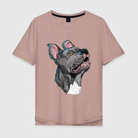 Мужская футболка хлопок Oversize с принтом Шикарный Американский питбультерьер в Петрозаводске, 100% хлопок | свободный крой, круглый ворот, “спинка” длиннее передней части | dog | pitbull | американский питбультерьер | пес | песик | питбуль | собака | щенок