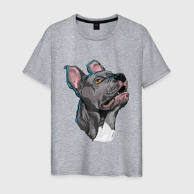 Мужская футболка хлопок с принтом Шикарный Американский питбультерьер в Белгороде, 100% хлопок | прямой крой, круглый вырез горловины, длина до линии бедер, слегка спущенное плечо. | dog | pitbull | американский питбультерьер | пес | песик | питбуль | собака | щенок