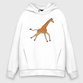 Мужское худи Oversize хлопок с принтом Жираф бегущий в Белгороде, френч-терри — 70% хлопок, 30% полиэстер. Мягкий теплый начес внутри —100% хлопок | боковые карманы, эластичные манжеты и нижняя кромка, капюшон на магнитной кнопке | giraffa | африка | африканские прерии | бегущий | жираф | зоопарк | парнокопытные животные | сафари