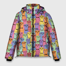 Мужская зимняя куртка 3D с принтом Красочные Сурикаты в Тюмени, верх — 100% полиэстер; подкладка — 100% полиэстер; утеплитель — 100% полиэстер | длина ниже бедра, свободный силуэт Оверсайз. Есть воротник-стойка, отстегивающийся капюшон и ветрозащитная планка. 

Боковые карманы с листочкой на кнопках и внутренний карман на молнии. | animals | safari | zoo | байбак | грызун | дикая природа | дикие животные | животные | зверек | звери | зоопарк | мангусты | млекопитающие | нора | сафари | сурикаты | сурок | тимон и пумба | тушканчик | хищники