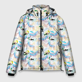 Мужская зимняя куртка 3D с принтом Зебра и Тукан в тропиках в Новосибирске, верх — 100% полиэстер; подкладка — 100% полиэстер; утеплитель — 100% полиэстер | длина ниже бедра, свободный силуэт Оверсайз. Есть воротник-стойка, отстегивающийся капюшон и ветрозащитная планка. 

Боковые карманы с листочкой на кнопках и внутренний карман на молнии. | Тематика изображения на принте: animals | bali | beach | california | hawaii | miami | palm | safari | surfing | tropics | zoo | бали | гавайи | дикая природа | дикие животные | животные | звери | зебра | зоопарк | калифорния | кокосы | майами | море | отдых | отпуск | пальмы