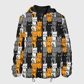 Мужская куртка 3D с принтом Злой Кот (мем) в Екатеринбурге, ткань верха — 100% полиэстер, подклад — флис | прямой крой, подол и капюшон оформлены резинкой с фиксаторами, два кармана без застежек по бокам, один большой потайной карман на груди. Карман на груди застегивается на липучку | cat | kitty | pussy | барсик | год кота | год кошки | демотиватор | животное | зверь | идея | интернет | киска | кот | котофей | котяра | кошечка | кошка | мем | мурзик | мурлыка | мышелов | мяукатель | ничоси