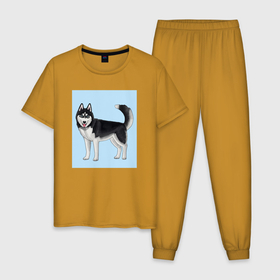 Мужская пижама хлопок с принтом Сибирский хаски собака в Белгороде, 100% хлопок | брюки и футболка прямого кроя, без карманов, на брюках мягкая резинка на поясе и по низу штанин
 | Тематика изображения на принте: dog | husky | siberian husky | большая собака | породистая собака | прямоугольник | сибирский хаски | собака | собака в полный рост | собачка | хаски