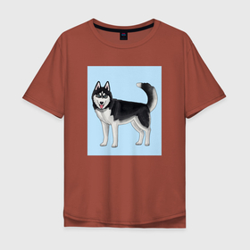 Мужская футболка хлопок Oversize с принтом Сибирский хаски собака в Тюмени, 100% хлопок | свободный крой, круглый ворот, “спинка” длиннее передней части | dog | husky | siberian husky | большая собака | породистая собака | прямоугольник | сибирский хаски | собака | собака в полный рост | собачка | хаски