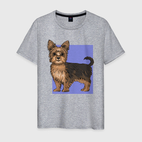 Мужская футболка хлопок с принтом Йоркширский терьер на синем мальчик в Санкт-Петербурге, 100% хлопок | прямой крой, круглый вырез горловины, длина до линии бедер, слегка спущенное плечо. | dog | yorkshire | декоративная собака | животное | йорик | йоркширский терьер | питомец | синий | собака | собачка