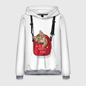 Мужская толстовка 3D с принтом Карманный котенок в Новосибирске, 100% полиэстер | двухслойный капюшон со шнурком для регулировки, мягкие манжеты на рукавах и по низу толстовки, спереди карман-кенгуру с мягким внутренним слоем. | животное | карман | кот | котенок | котэ | сумка