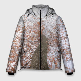 Мужская зимняя куртка 3D с принтом Древесное растение в Белгороде, верх — 100% полиэстер; подкладка — 100% полиэстер; утеплитель — 100% полиэстер | длина ниже бедра, свободный силуэт Оверсайз. Есть воротник-стойка, отстегивающийся капюшон и ветрозащитная планка. 

Боковые карманы с листочкой на кнопках и внутренний карман на молнии. | Тематика изображения на принте: дерево | лес | листва | листья | растение | туман