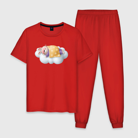 Мужская пижама хлопок с принтом Спящий кролик (спокойной ночи) в Тюмени, 100% хлопок | брюки и футболка прямого кроя, без карманов, на брюках мягкая резинка на поясе и по низу штанин
 | Тематика изображения на принте: заяц | кролик | сон | спит | спокойной ночи | спящий кролик