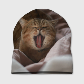 Шапка 3D с принтом Зевающий кот на кровати в Белгороде, 100% полиэстер | универсальный размер, печать по всей поверхности изделия | животное | животные | звери | зверь | зёв | зевающий | киска | киски | кот | котик | котики | питомец | питомцы