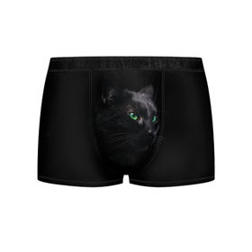 Мужские трусы 3D с принтом Черна кошка с изумрудными глазами в Петрозаводске, 50% хлопок, 50% полиэстер | классическая посадка, на поясе мягкая тканевая резинка | животные | звери | зеленые глаза | кот | кошка | кошки | черная кошка