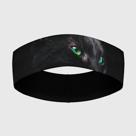 Повязка на голову 3D с принтом Черна кошка с изумрудными глазами в Петрозаводске,  |  | животные | звери | зеленые глаза | кот | кошка | кошки | черная кошка